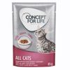 Concept for Life All Cats w sosie 12 x 85 g