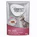 Concept for Life All Cats w sosie 12 x 85 g