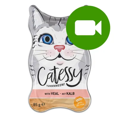 Przycisk odtwarzania wideo. Kliknij tutaj, aby obejrzeć film dotyczący produktu Catessy Yummmmeow! with veal 85 g.