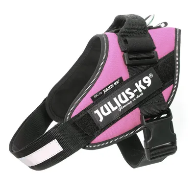 JULIUS-K9 hondentuig met zichtbaar label 'IDC by JULIUS-K9 Glowing in dark', verstelbare band en kliksluiting, materiaal: textiel en kunststof.