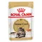 Lot de sachets fraîcheur Royal Canin 48 x 85 g pour chat Breed Maine Coon