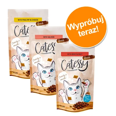 Trzy opakowania Catessy Snack 65 g: with poultry & cheese, with salmon, with beef & malt. Napis na pomarańczowym kole: Wypróbuj teraz! Trzy opakowania Catessy Snack 65 g: with poultry & cheese, with salmon, with beef & malt. Napis na pomarańczowym kole: Wypróbuj teraz!