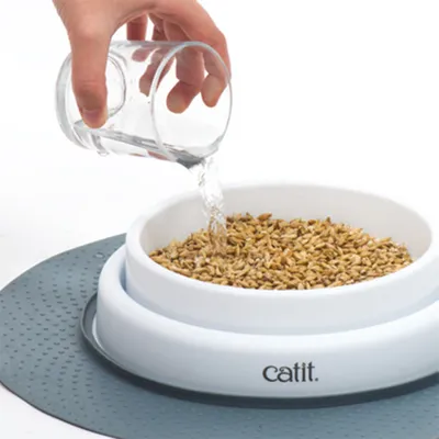 En hand häller vatten från ett glas i en vit matskål med frön. Skålen står på en grå halkfri matta, varumärket 'catit' synligt.