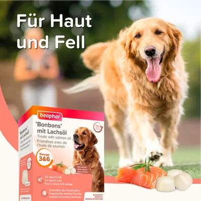 Beaphar Bonbons mit Lachsöl, Omega 3 & 6, unterstützt Haut und Fell sowie Darmfunktion. Verpackung zeigt Hund und Zutaten wie Lachs und Bonbons.