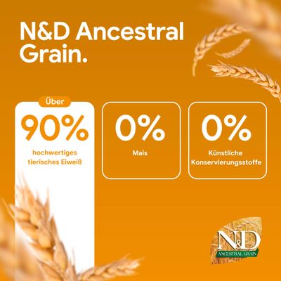 N&D Ancestral Grain: Über 90% hochwertiges tierisches Eiweiß, 0% Mais, 0% künstliche Konservierungsstoffe.