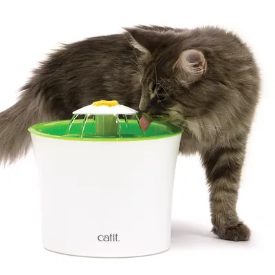 Gatto che beve da una fontana bianca con bordo verde e fiore giallo. Marca: Catit.