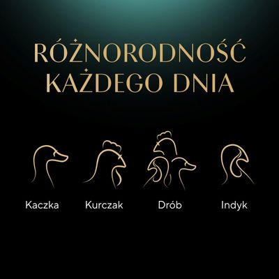 Różnorodność każdego dnia. Ilustracje i opisy: Kaczka, Kurczak, Drób, Indyk.