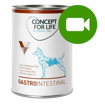 Przycisk odtwarzania wideo. Kliknij tutaj, aby obejrzeć film dotyczący produktu Concept for Life Veterinary Diet Gastrointestinal.