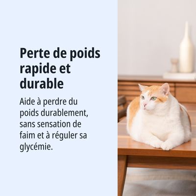 Virbac Veterinary HPM Cat W1 Weight Loss & Diabetes - 7 kg