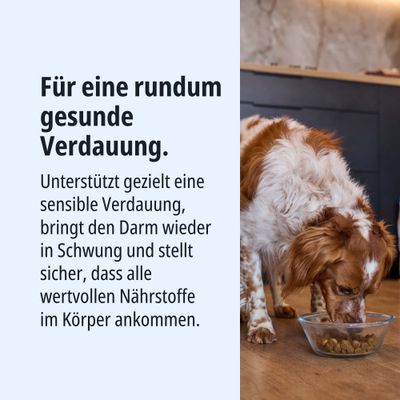 Für eine rundum gesunde Verdauung. Unterstützt gezielt eine sensible Verdauung, bringt den Darm in Schwung und sorgt dafür, dass alle Nährstoffe im Körper ankommen.