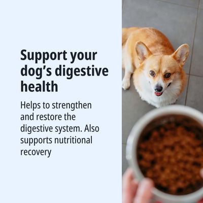 Supports your dog's digestive health. Strengthens and restores the digestive system, also aids nutritional recovery.