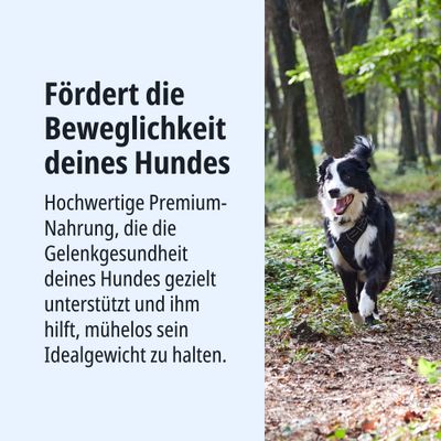 Fördert die Beweglichkeit deines Hundes. Hochwertige Premium-Nahrung unterstützt gezielt die Gelenkgesundheit und hilft, das Idealgewicht mühelos zu halten.
