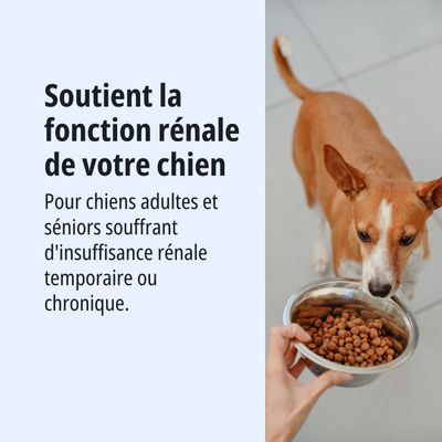 Soutient la fonction rénale chez les chiens. Pour les chiens adultes et âgés souffrant d'insuffisance rénale temporaire ou chronique.