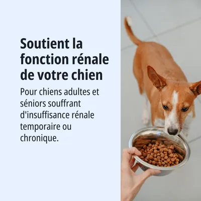 Soutient la fonction rénale chez les chiens. Pour les chiens adultes et âgés souffrant d'insuffisance rénale temporaire ou chronique.