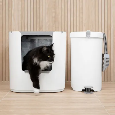 Black cat leaving a white litter box next to a white waste bin with grey scoop holder.