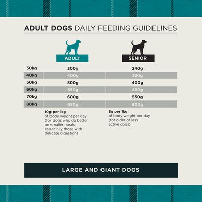 Feeding table for adult and senior dogs: recommended daily amounts from 300 g to 650 g for adults, 240 g to 600 g for seniors, depending on body weight from 30 kg to 80 kg.