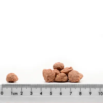Nahaufnahme von braunen, runden Futterstücken neben einem Lineal mit Zentimeterangaben zur Grössenbestimmung. Nahaufnahme von braunen, runden Futterstücken neben einem Lineal mit Zentimeterangaben zur Grössenbestimmung.