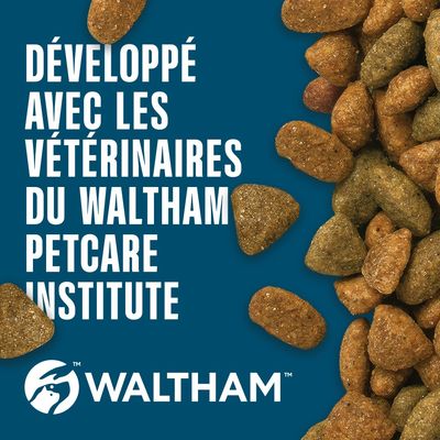 Développé avec des vétérinaires de l’Institut Waltham Petcare. Marque WALTHAM visible, croquettes illustrées.