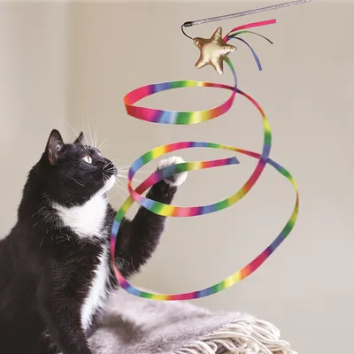 Varita de juego con estrella dorada y cinta multicolor, utilizada por un gato blanco y negro.