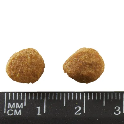 Two round brown kibble pieces beside a black ruler showing size in centimetres and millimetres, each piece about 1.5 cm wide