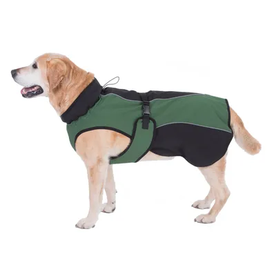 Hond draagt groene en zwarte hondenjas met reflecterende strepen en verstelbare sluiting.