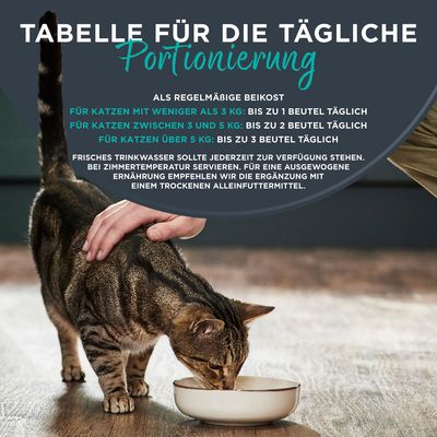 Sparpaket Encore Cat Pouch 48 x 70 g - Hühnerbrust mit Ente