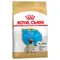 Royal Canin Pug Puppy  1,5 kg