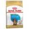 Royal Canin Dachshund Puppy Pachet economic: 2 x 1,5 kg