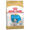 Royal Canin Dalmatien Puppy pour chiot 12 kg