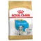 Ekonomipack: 2 / 3 påsar Royal Canin Breed Puppy / Junior Dalmatian Puppy (2 x 12 kg)