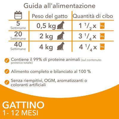 IAMS Advanced Nutrition Kitten Pollo in Salsa