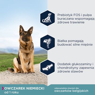 Owczarek niemiecki od 1 roku. Prebiotyk FOS i pulpa buraczana wspomagają trawienie, białka budują mięśnie, glukozamina i chondroityna zapewniają zdrowe stawy. Odpowiednie dla owczarków belgijskich.
