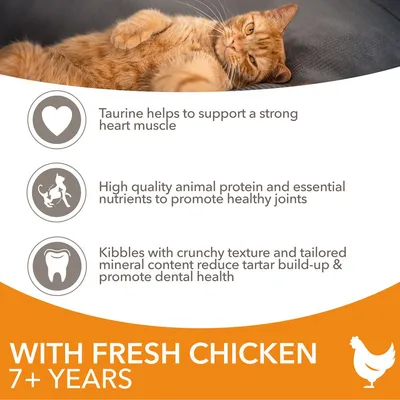 IAMS Advanced Nutrition Senior Cat 7+ csirke - 3 kg