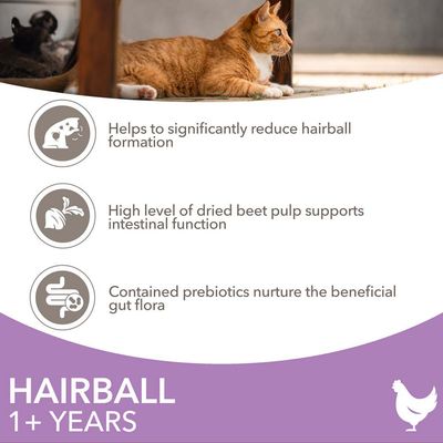 Hairball 1+ Years. Helps to significantly reduce hairball formation. High level of dried beet pulp supports intestinal function. Contained prebiotics nurture the beneficial gut flora. (angol szöveg)