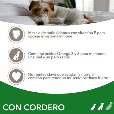 Mezcla de antioxidantes con vitamina E, ácidos Omega 3 y 6 para piel y pelo sanos, nutrientes clave para el corazón. Texto: CON CORDERO.