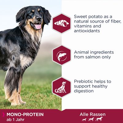 Text på engelska: Sweet potato as a natural source of fiber, vitamins and antioxidants. Animal ingredients from salmon only. Prebiotic helps to support healthy digestion. MONO-PROTEIN ab 1 Jahr. Alle Rassen.