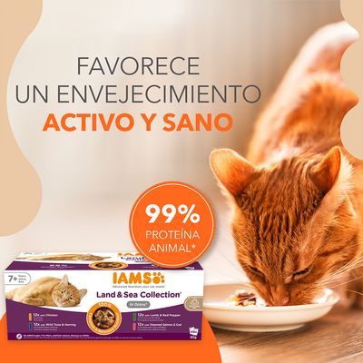 IAMS Land & Sea Collection para gatos mayores de 7 años. Texto: Favorece un envejecimiento activo y sano, 99% proteína animal. Imagen de gato comiendo y caja del producto visible.