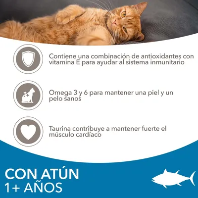 Contiene antioxidantes con vitamina E, omega 3 y 6 para piel y pelo sanos, taurina para el músculo cardíaco. Con atún, 1+ años.