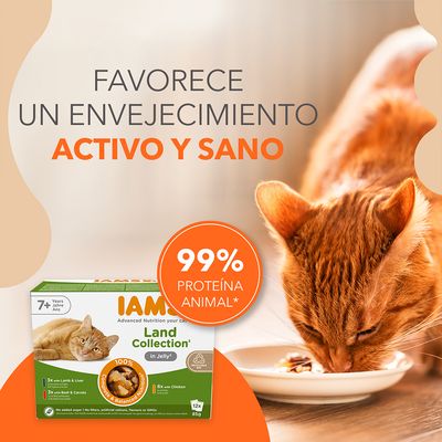 Texto: Favorece un envejecimiento activo y sano. 99% proteína animal. Caja de IAMS Land Collection in Jelly para gatos mayores de 7 años, 12x85g, cordero, hígado, ternera, zanahorias y pollo.