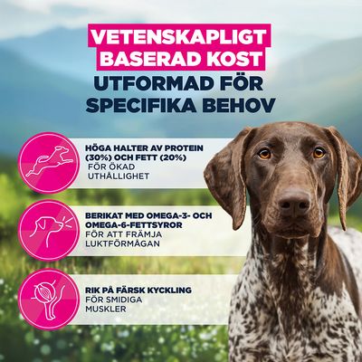 Eukanuba Special Care Working & Endurance Adult - 15 kg