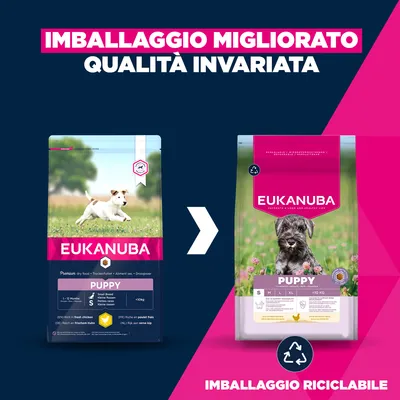 Eukanuba Premium Nutrition Puppy Small Breed Pollo - 3 kg