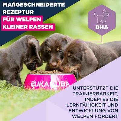 Eukanuba Premium Nutrition Puppy Small Breed Huhn - Sparpaket: 2 x 3 kg