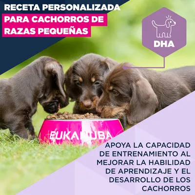 Eukanuba Premium Nutrition Puppy Small Breed pollo - Pack % - 2 x 7,5 kg