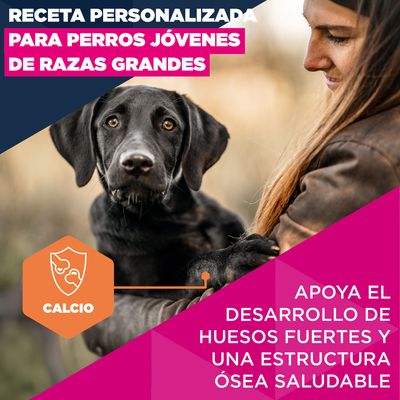 Eukanuba Premium Nutrition Junior Large & Giant Breed pollo