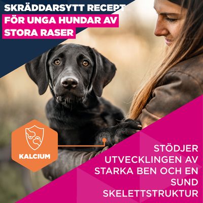 Eukanuba Premium Nutrition Junior Large & Giant Breed Chicken