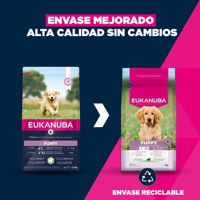 Eukanuba Premium Nutrition Puppy Large & Giant Breed cordero y arroz