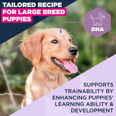 Eukanuba Premium Nutrition Puppy Large & Giant Breed Lam & Ris