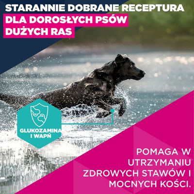 Eukanuba Premium Nutrition Adult Large & Giant Breed, kurczak - 15 kg