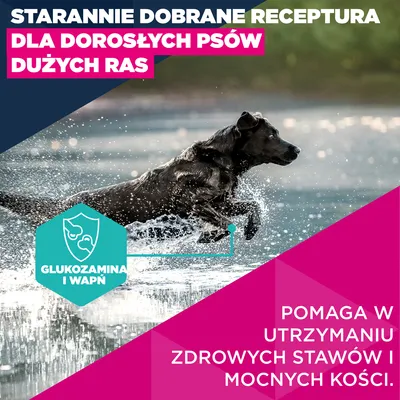 Eukanuba Premium Nutrition Adult Large & Giant Breed, kurczak - 15 kg