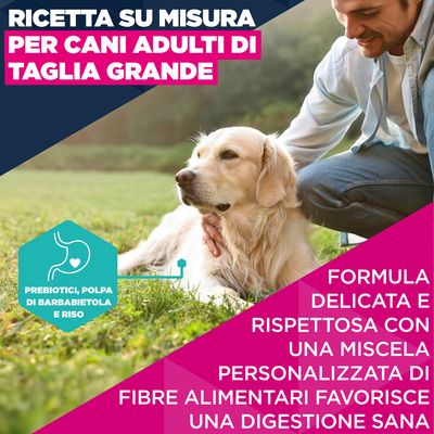 Eukanuba Premium Nutrition Adult Large & Giant Breed Agnello & Riso - 12 kg